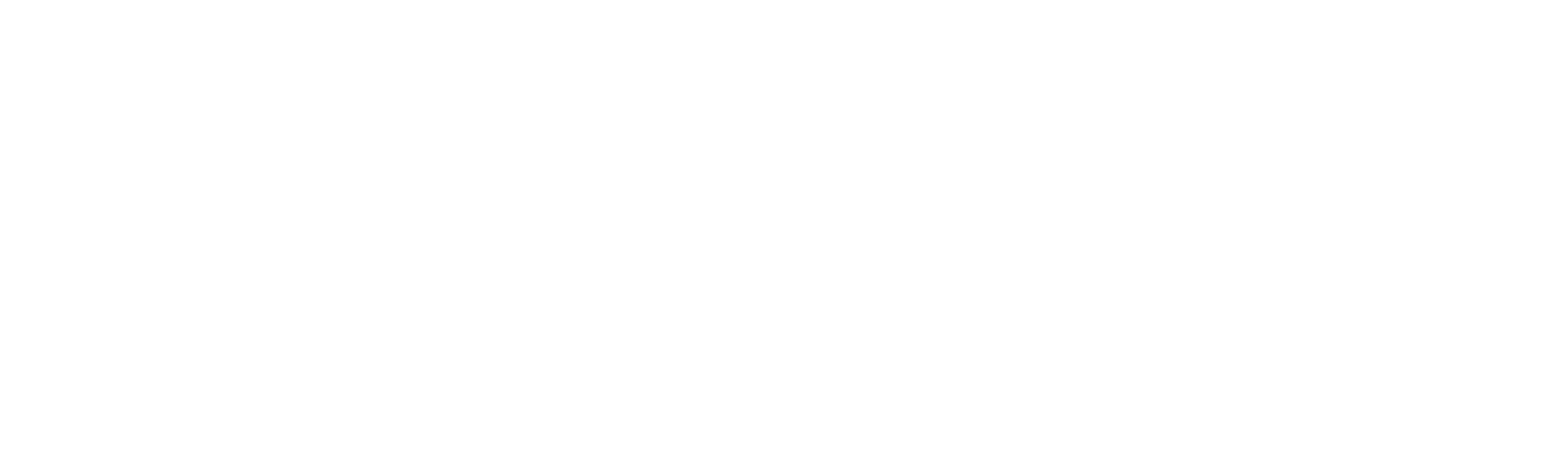 Banner Logo